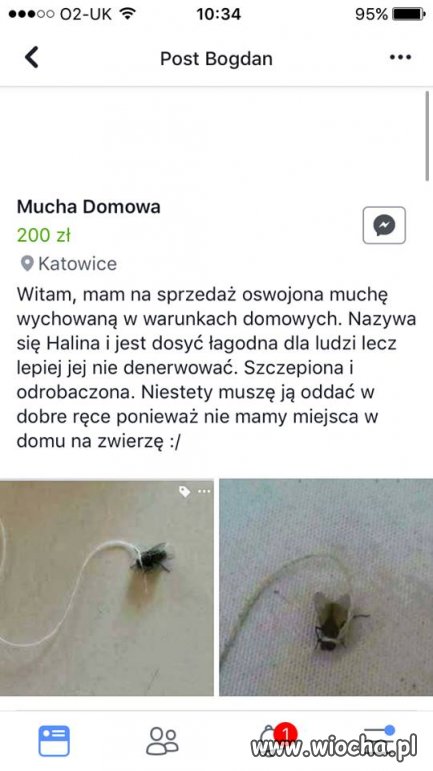 Okazja