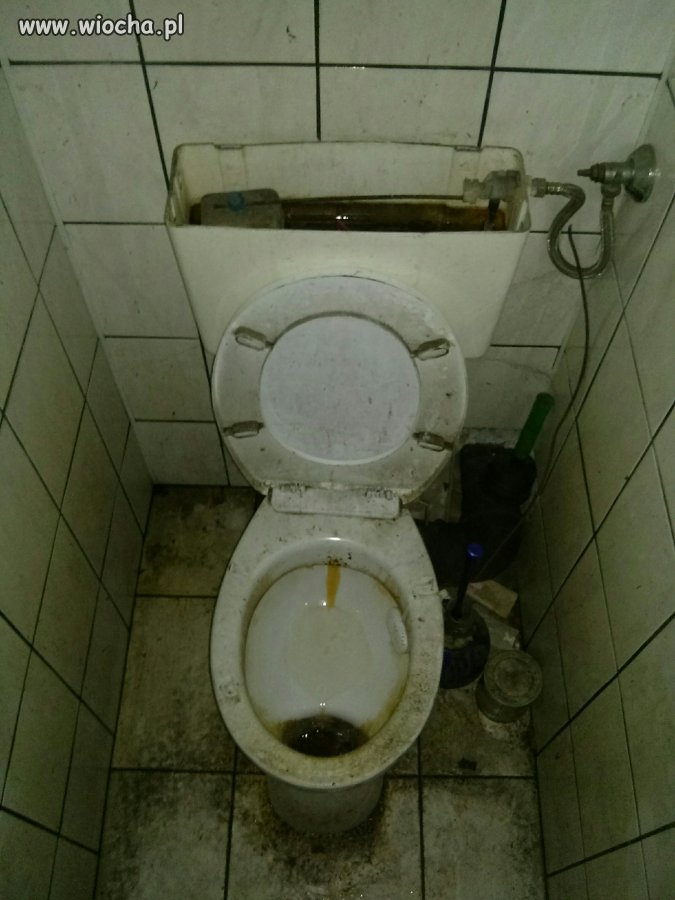 Kibel na praktykach