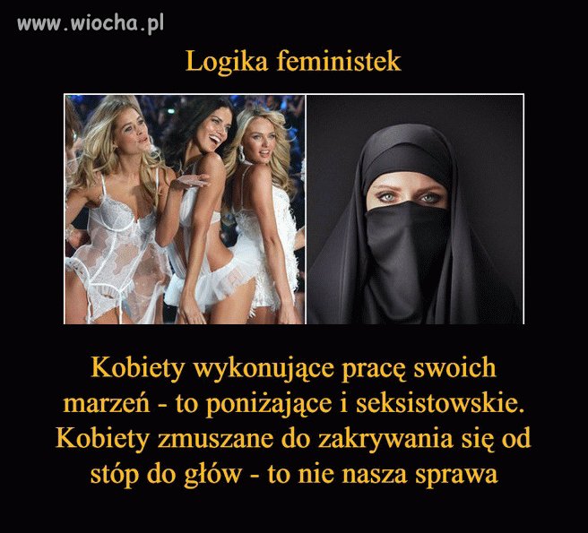 Logika feministek czyli brak jakiejkolwiek logiki
