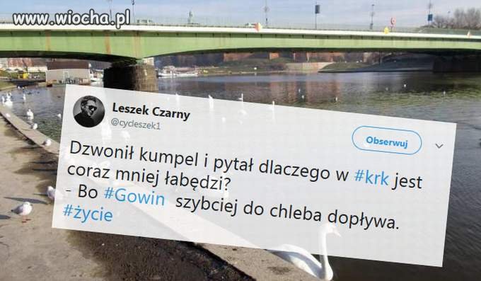 Telefon z Krakowa
