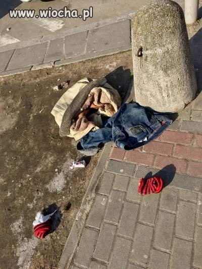 Wiosna przyszła na stałe