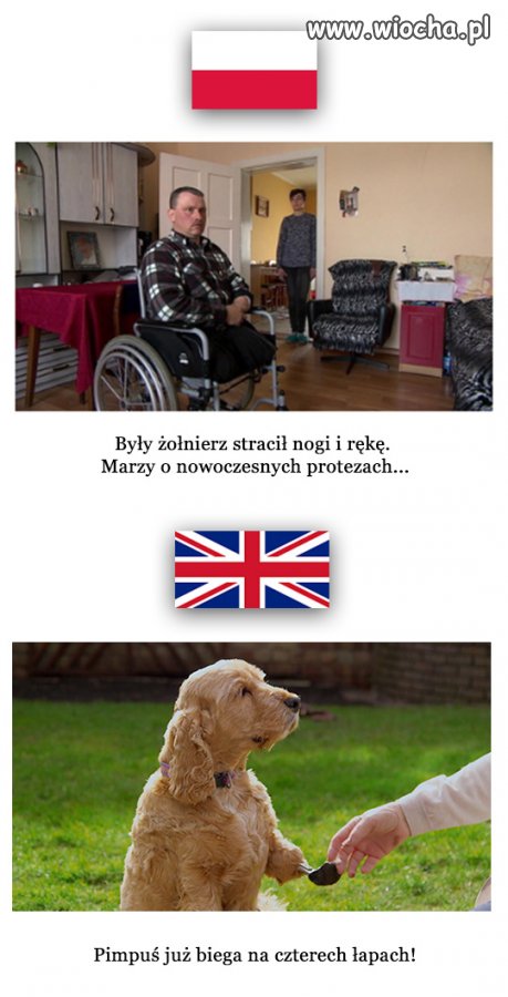Smutne ale prawdziwe.