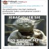 Riposta 