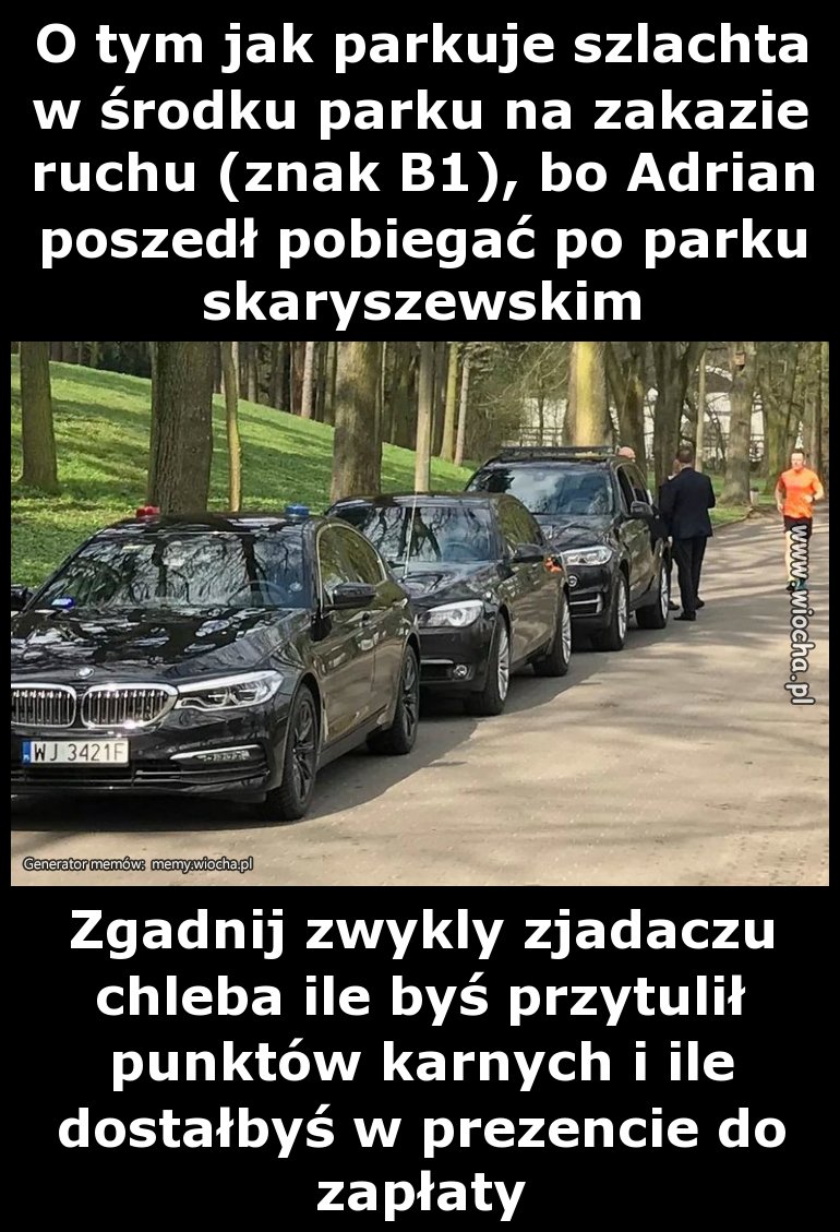 O tym jak parkuje szlachta w środku parku 