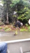 Człowieki 