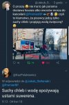 Program Ośmiorniczki +