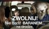 Zwolnij,do 30 km/h