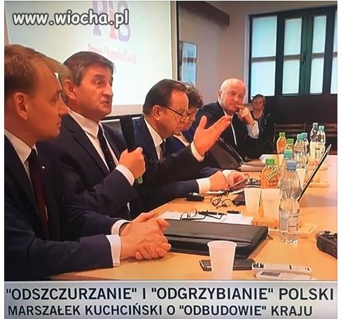 Jak ,,ja,, jestem szczurem i grzybem