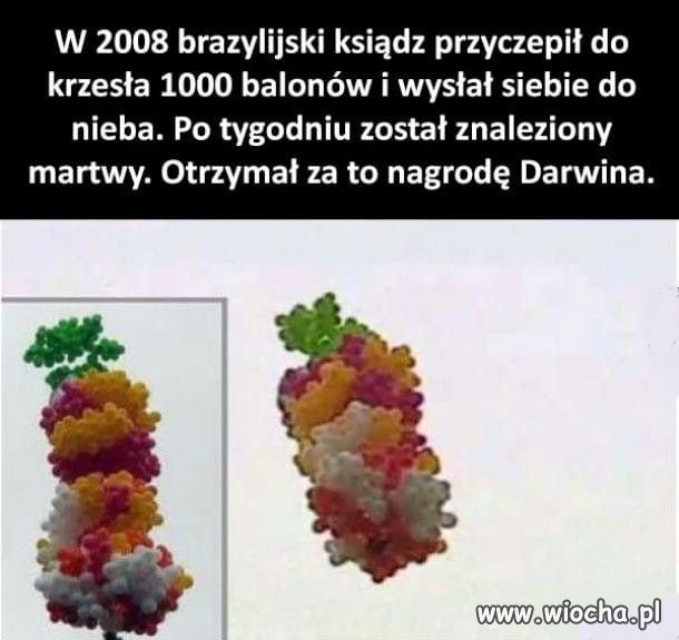 Może jednak