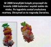 Może jednak