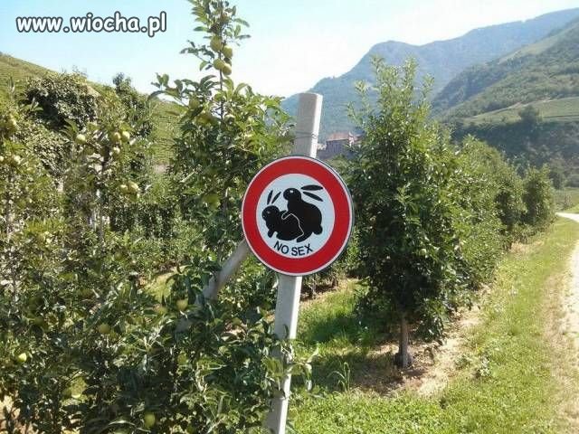 Nowy znak.