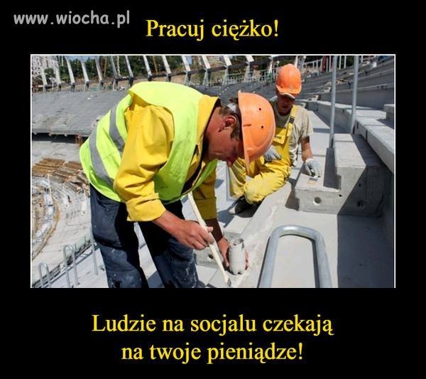 Pasożytom społecznym mówimy NIE.