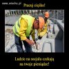 Pasożytom społecznym mówimy NIE.