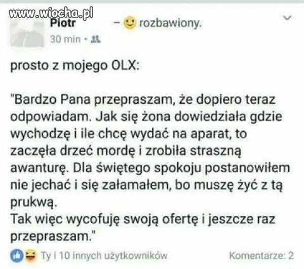 żona 