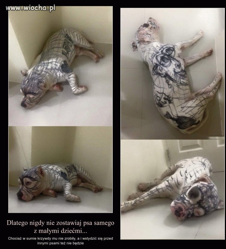 No cóż