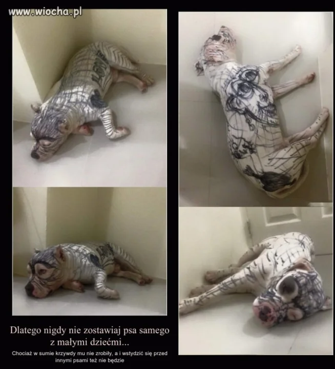 No cóż