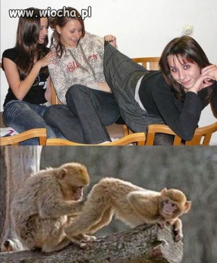 Darwin miał rację.