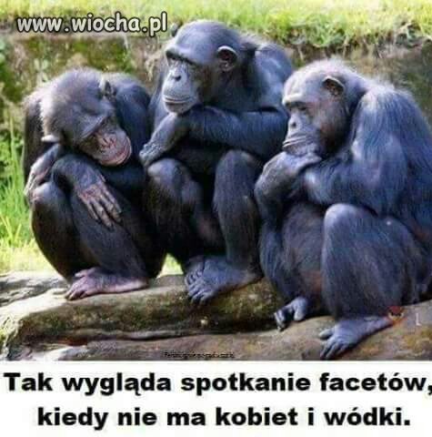 Ani tematu do rozmowy.