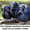 Ani tematu do rozmowy.