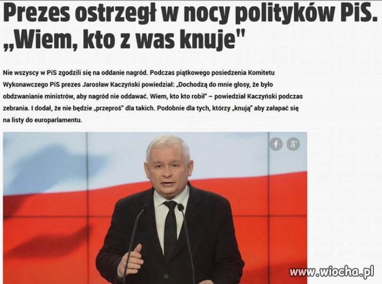 Psychoza. Za kasę sami się pozagryzają.