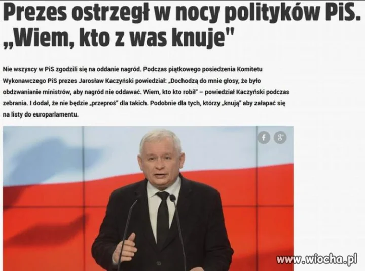 Psychoza. Za kasę sami się pozagryzają.