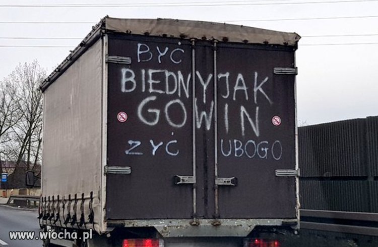 Swój chłop