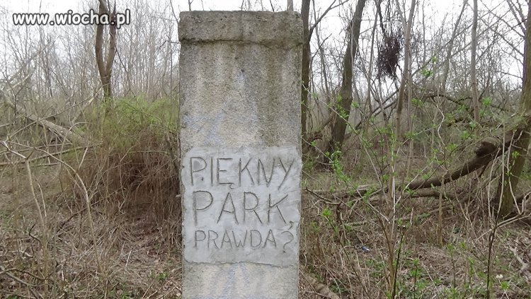 Piękny park ?