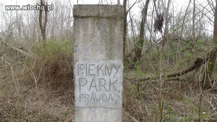 Piękny park ?