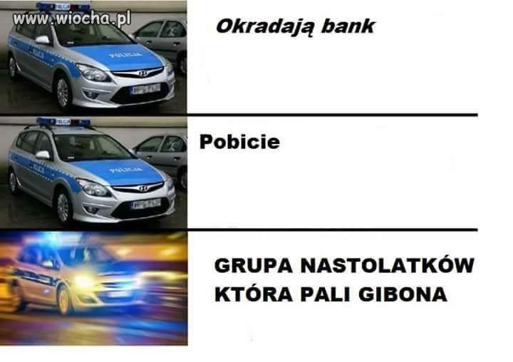 Halo... Halo... 