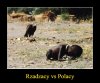 Tak to widzę ...