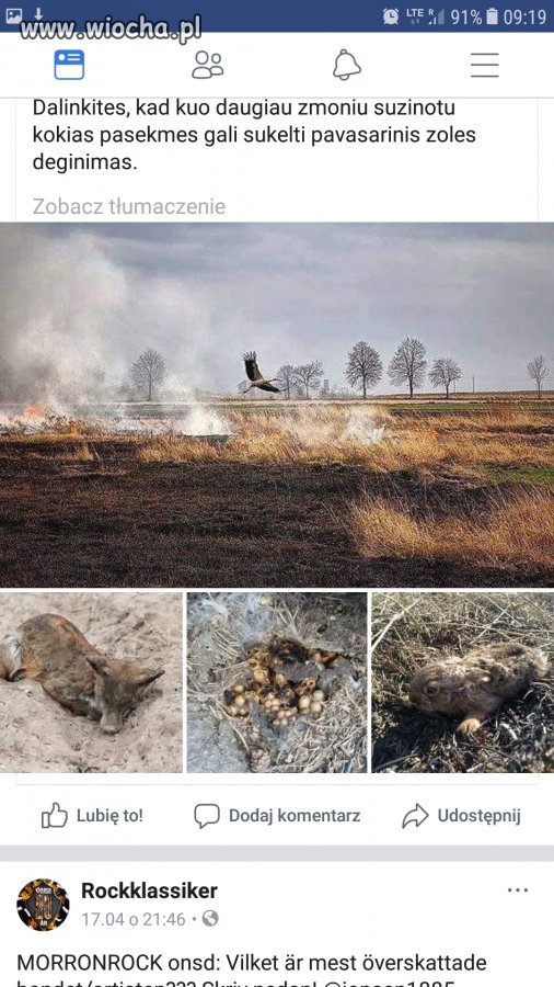 Debile jak co roku wypalają trawy 