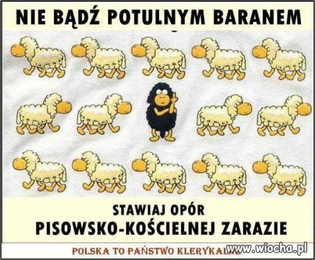 Już dość !
