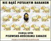 Już dość !