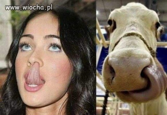 Jak dwie krople wody.