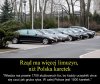 Grubych ryb przybywa