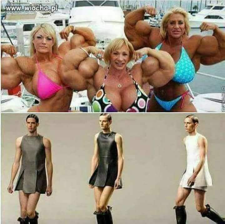 Zamiana 