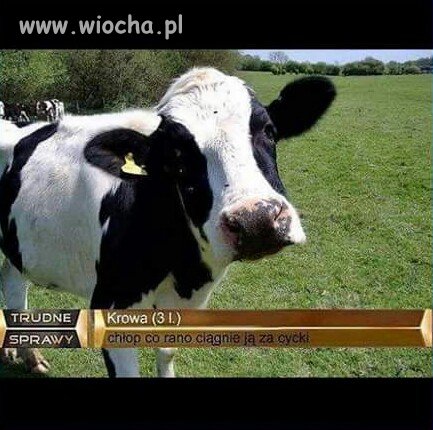 Tak to widzę.