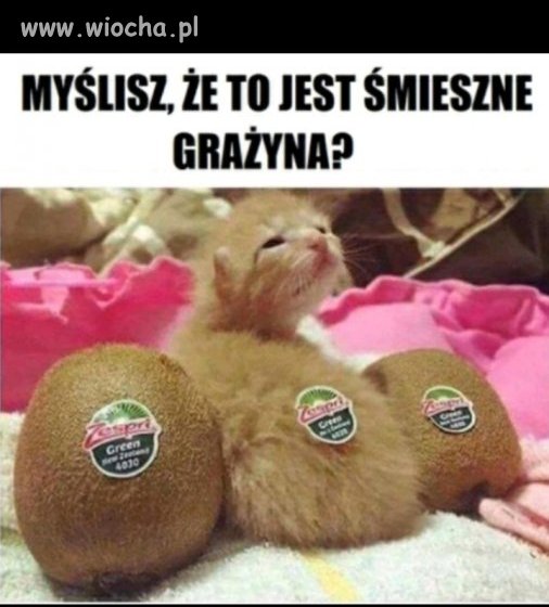 Grażyna Śmieszka