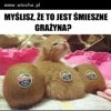 Grażyna Śmieszka