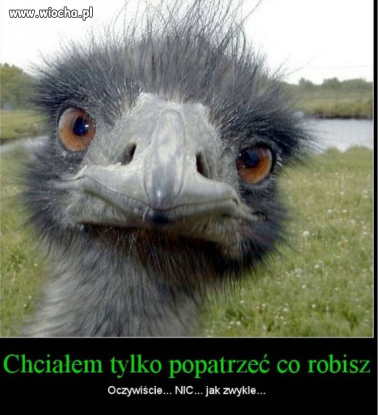 Do roboty