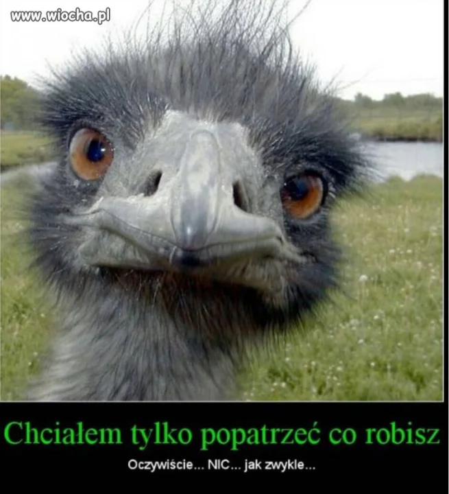Do roboty
