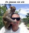 Zwierzaki takie są