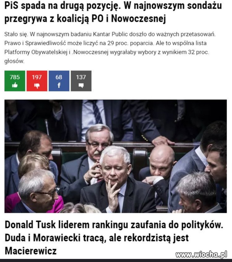 Panika w pisie 