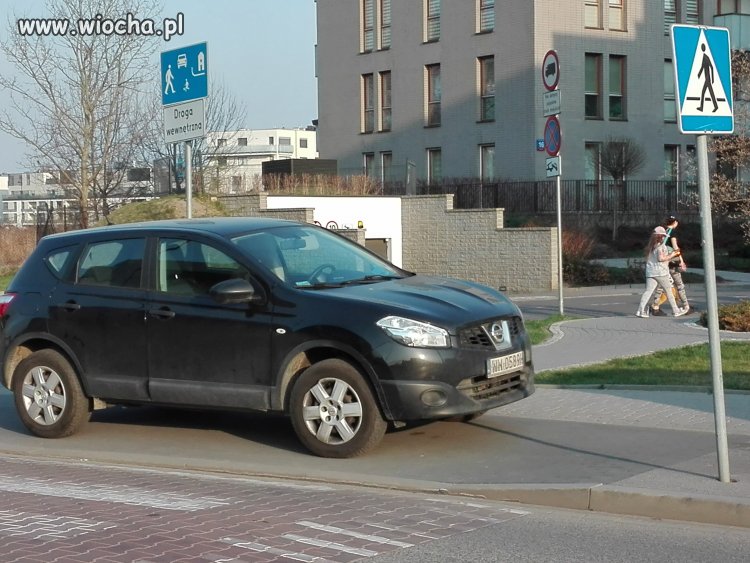 Mistrz bezmyslnego parkowania