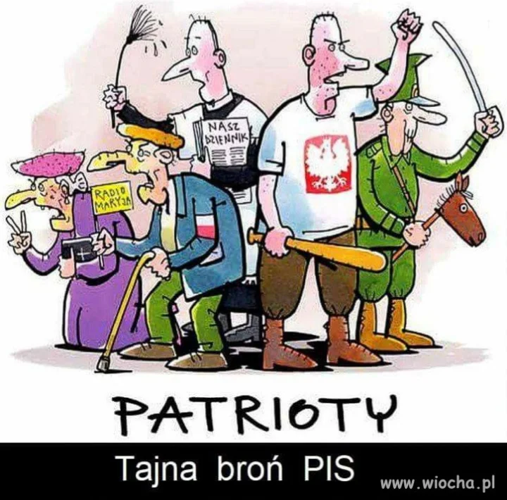 Tajna broń pis