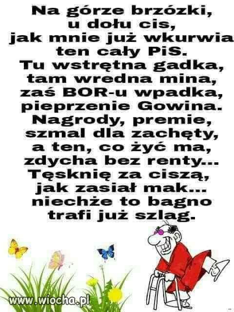 Na górze brzózki 