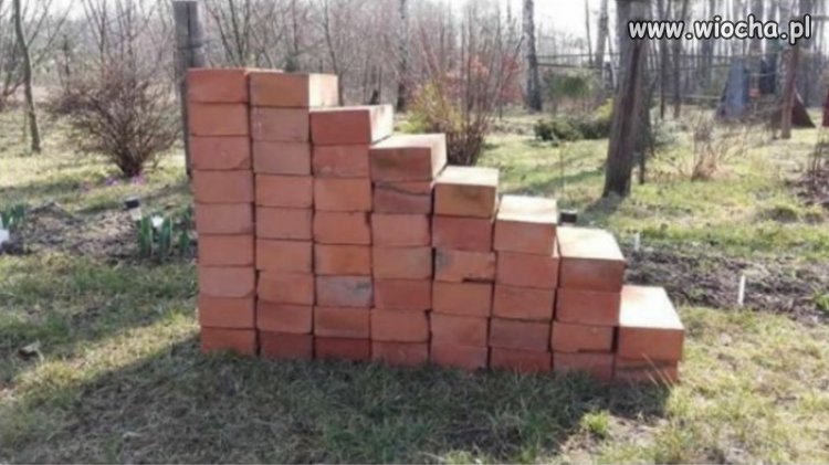 Przyłącz się do akcji