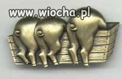 Nowy model broszki