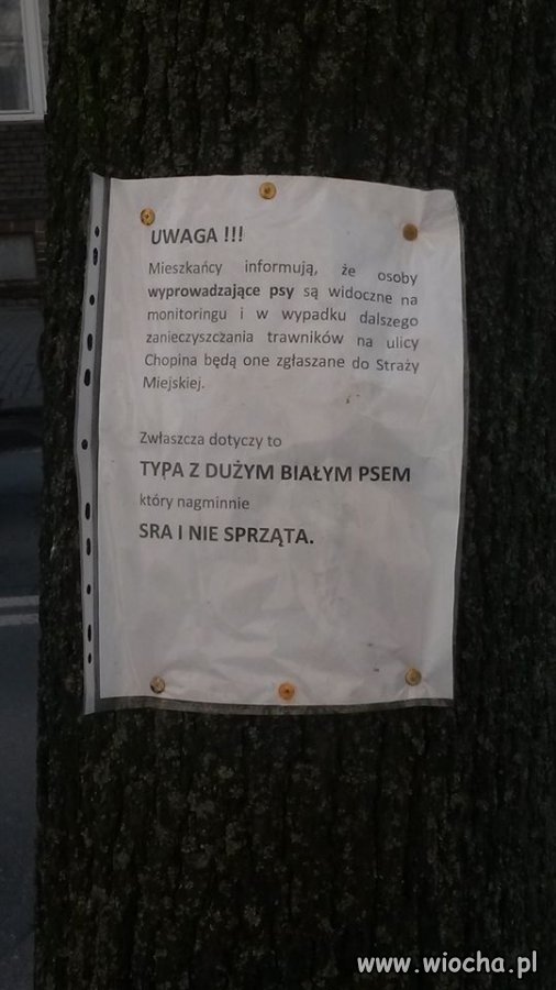 Tymczasem w Lublinie...