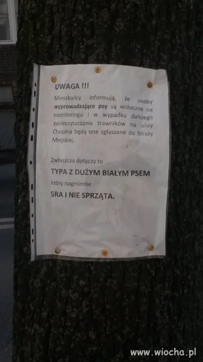 Tymczasem w Lublinie...
